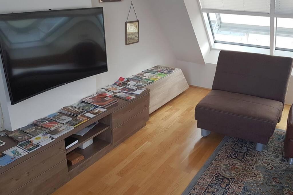 Grosses Penthouse #12 Mit Terrasse Und Aussicht Apartment Vienna